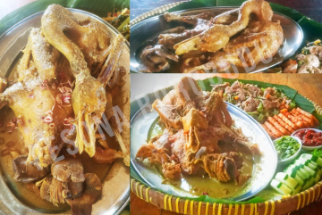 recent-project-img-1